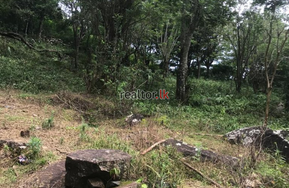 Bambarakanda Kalupahana Land For Sale