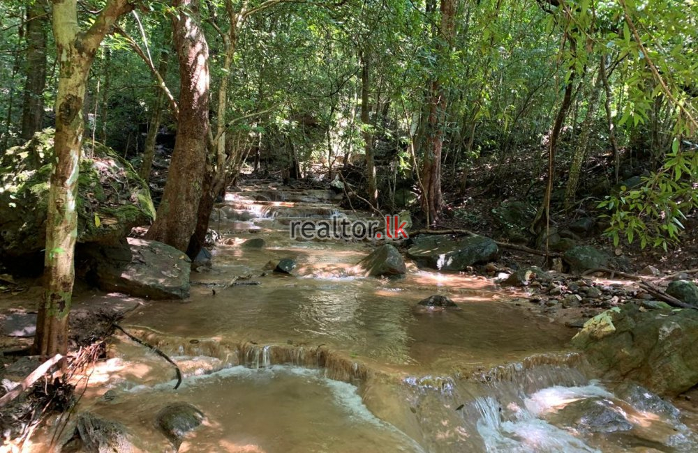 Riverfront Land For Sale In Haldummulla Balangoda