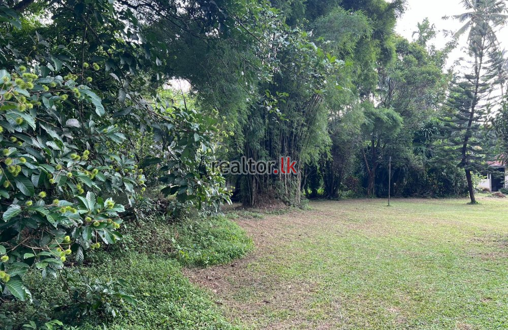 Land For Sale In Pannala