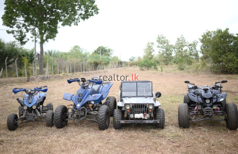 Adventure Resort For Sale In Andigama Forest
