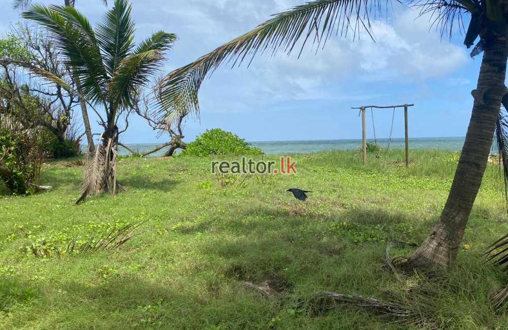 Beach Land For Sale At Uswetakeiyawa