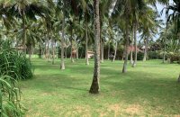 Dodanduwa Beach Facing Land For Sale