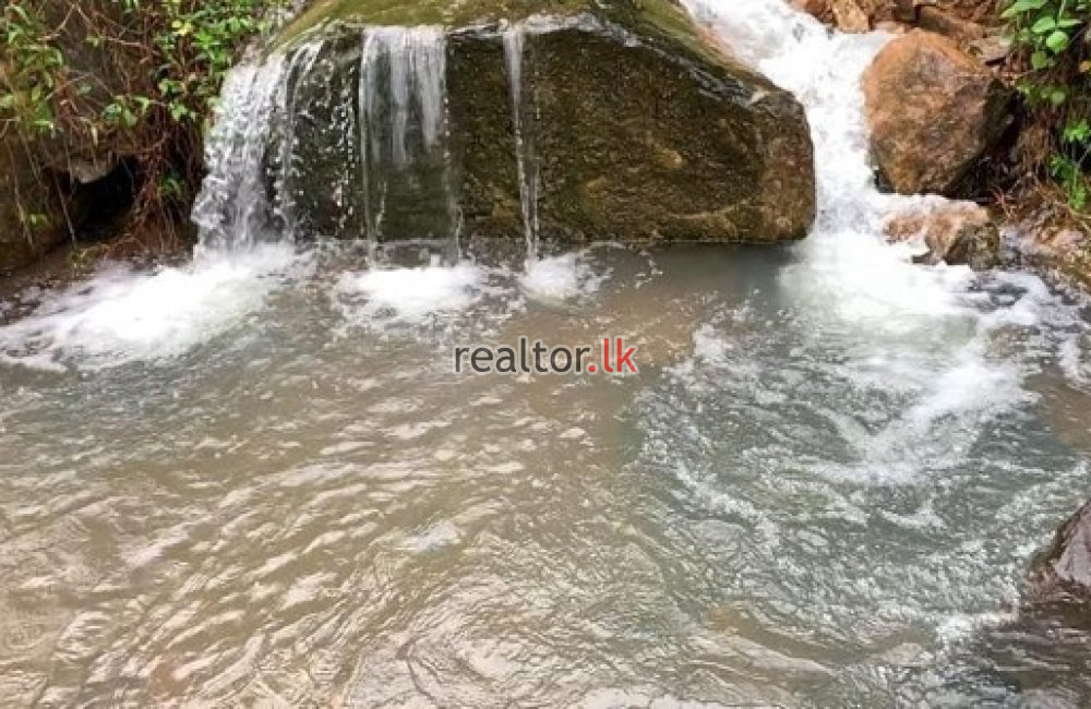 Tea Estate & Quartz Rock For Sale Bulathsinhala