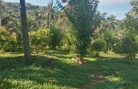 Mixed Estate For Sale At Matale