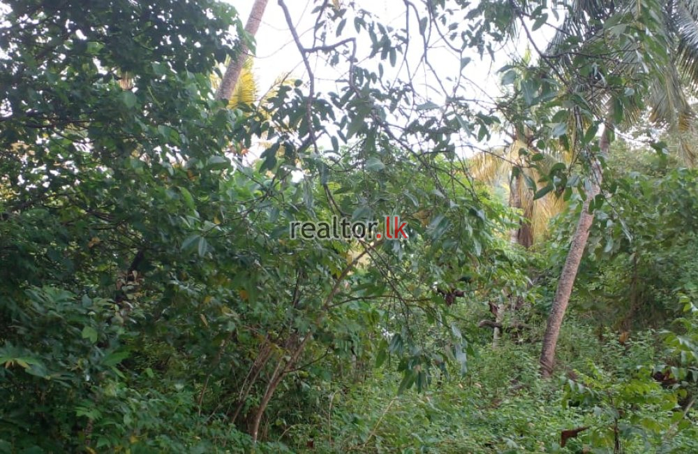 Facing Bolgoda Lake Land For Sale