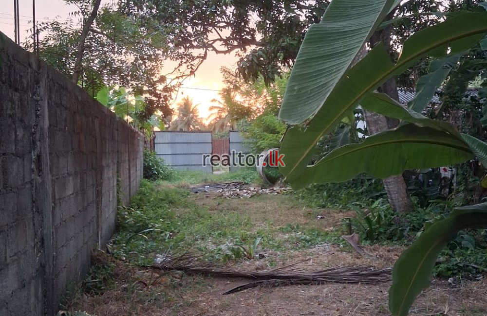 Land For Sale In Cardinal Cooray Mawatha Wattala