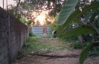 Land For Sale In Cardinal Cooray Mawatha Wattala