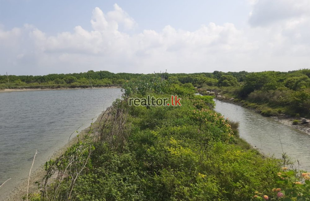 Lagoonfront Land Facing Main Road Kalpitiya