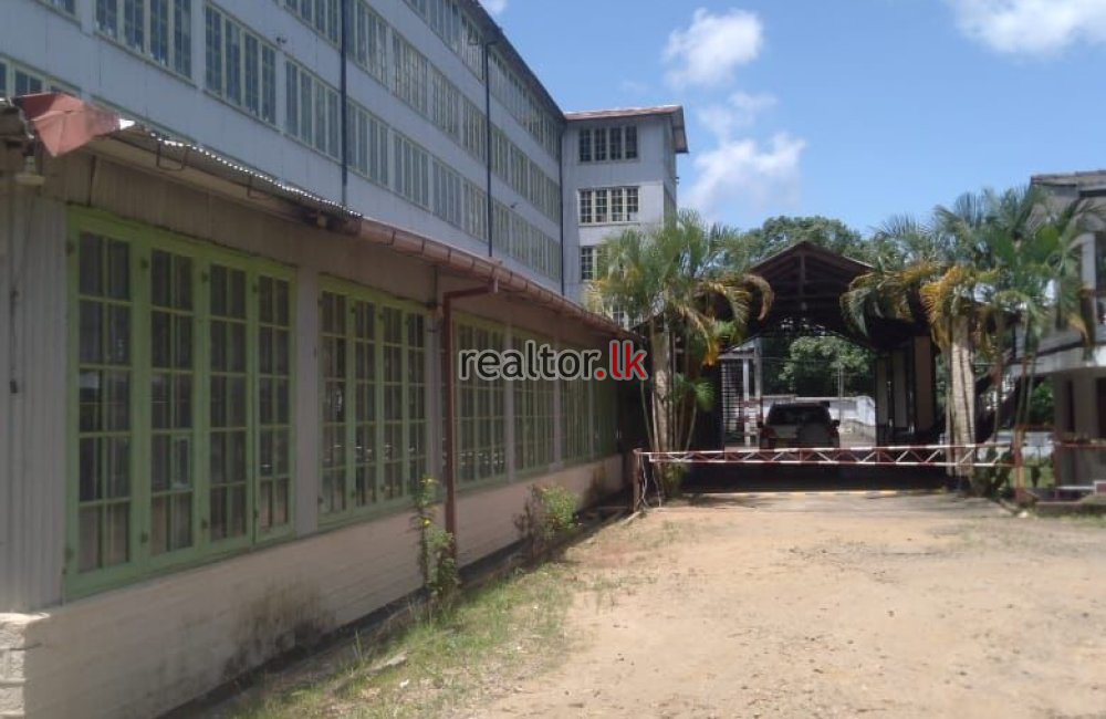 Tea  Estate  With Factory For Sale