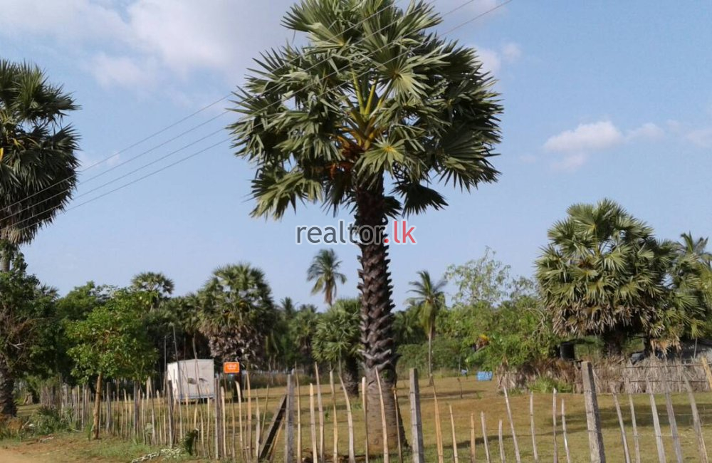 Beach Front Land At Passikudah