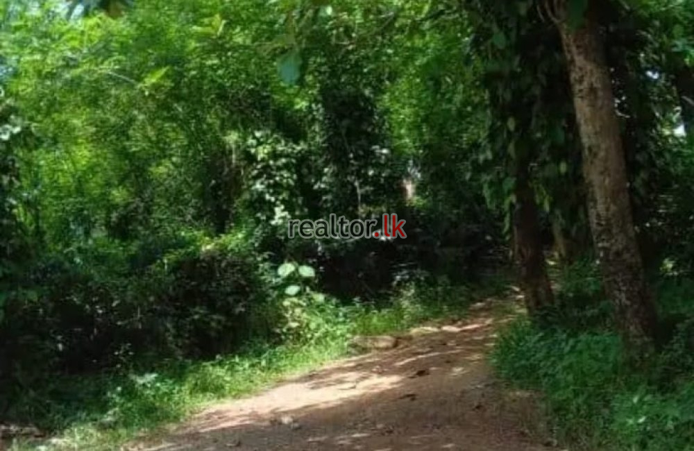 Mixed Estate For Sale In Eheliyagoda