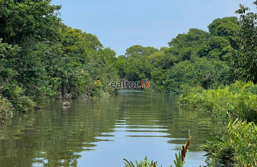 Land For Sale At Negombo Lagoon