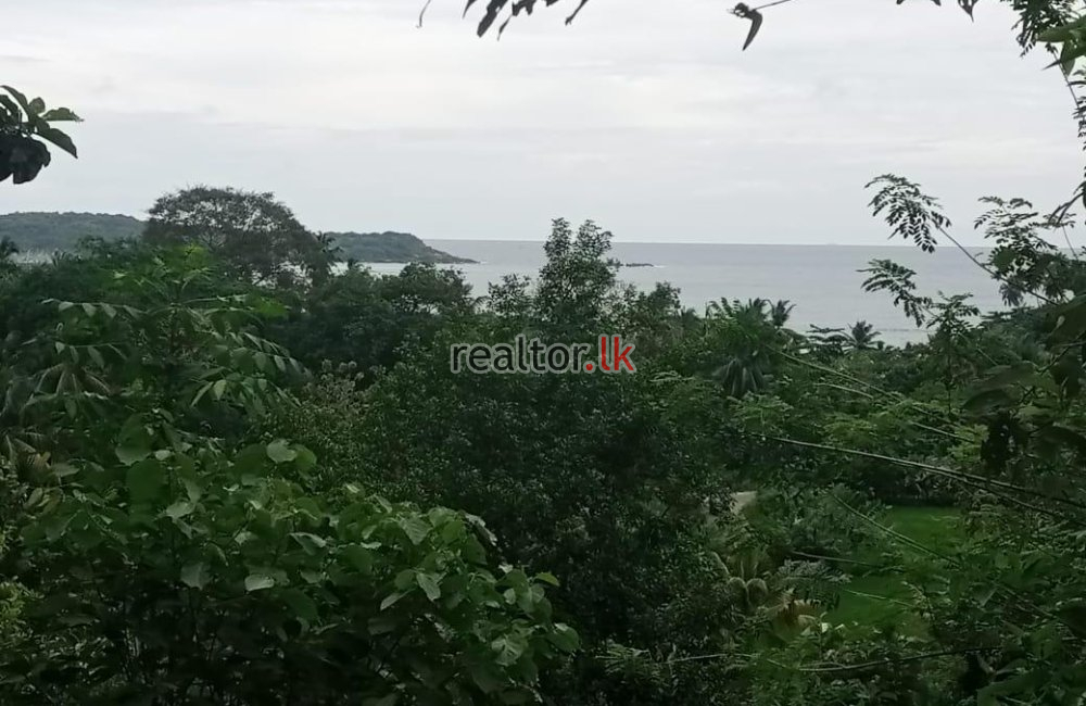 Land For Sale At Hiriketiya