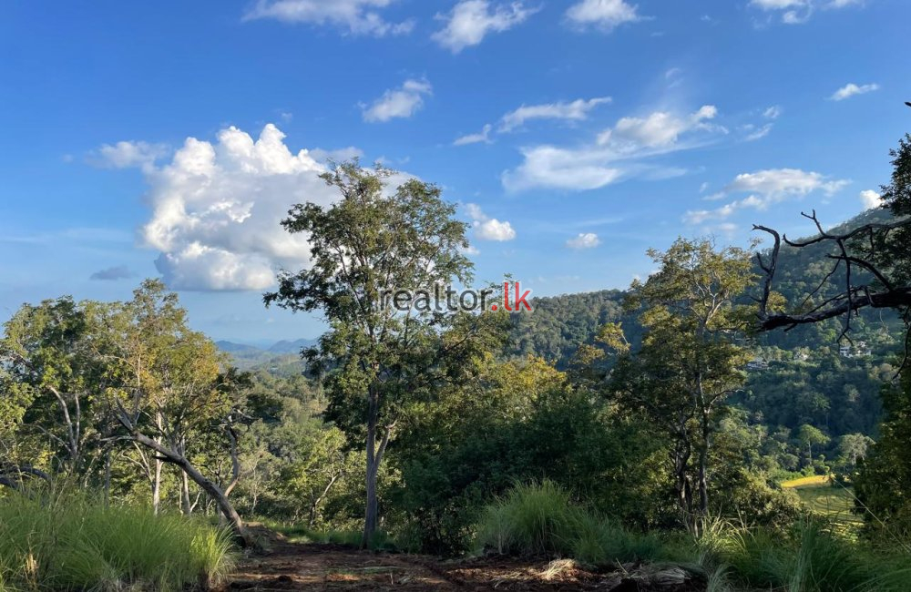 Land For Sale With Breathtaking Views In Ella