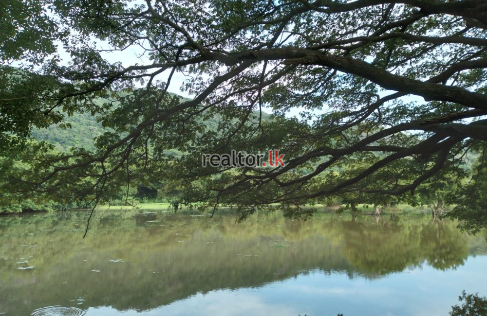 Paddy Land For Sale In Ranamukgama