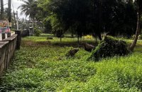 Land For Sale At Bopitiya Junction