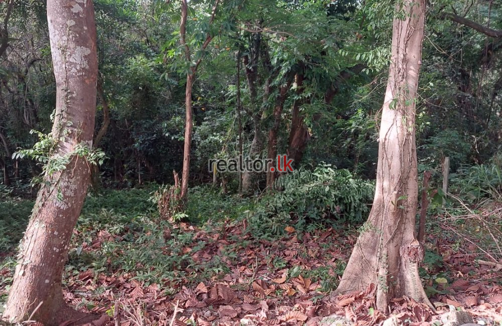 Lake Front Land At Off Beddagana Road