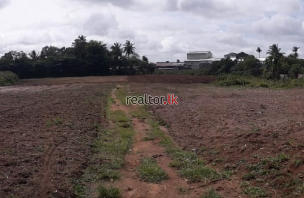 Milleniya Rd Land For Sale