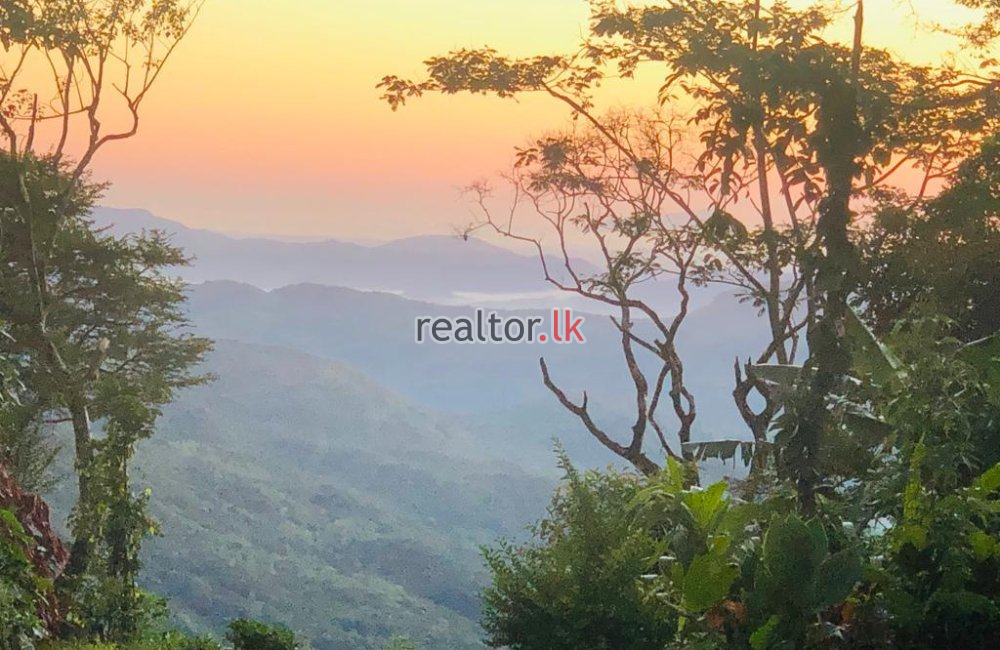 Agricultural Land For Sale At Matale