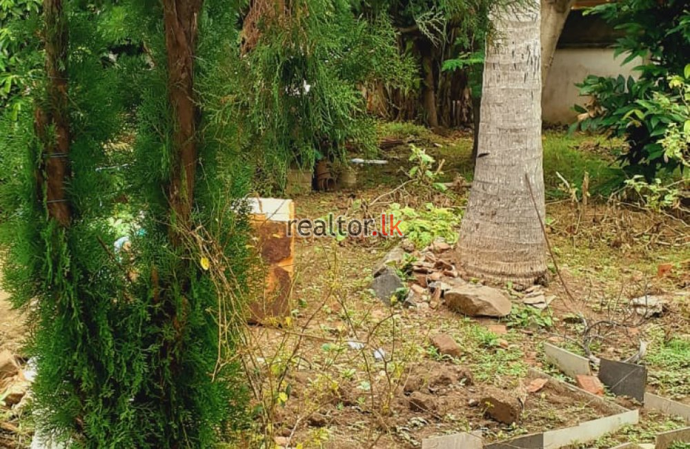 Land For Sale At De Soysa Avenue