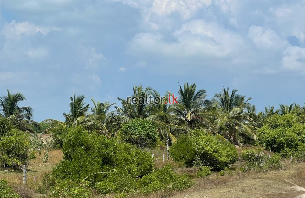 Lagoonfront Land For Sale In Kalpitiya