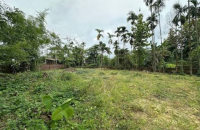 Land For Sale In Gangarama Rd Katunayake