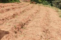 Agricultural Land For Sale In Nuwara Eliya