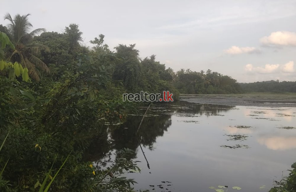 Land For Sale In Walgama Malwana