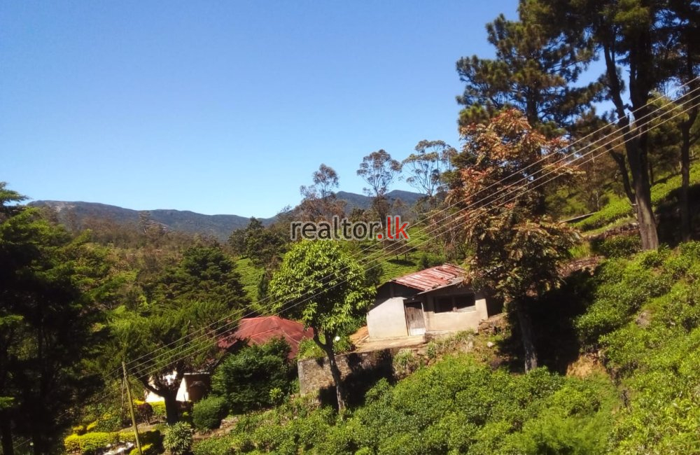 Scenic Deltota Tea Estate Property For Sale