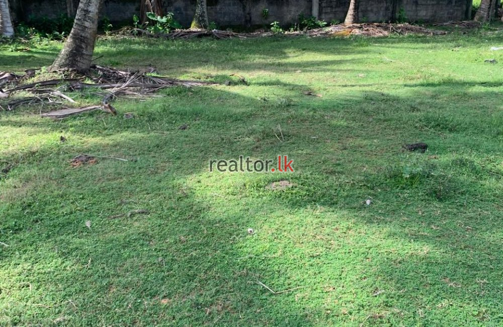 Prime Land For Sale Facing Galle Rd Hikkaduwa
