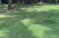 Prime Land For Sale Facing Galle Rd Hikkaduwa