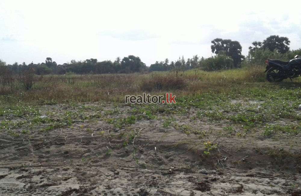 Beach Front Land At Passikudah