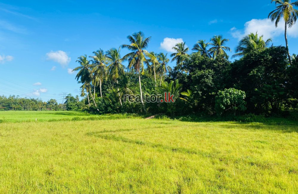 Land For Sale In Dikkumbura Road Ahangama