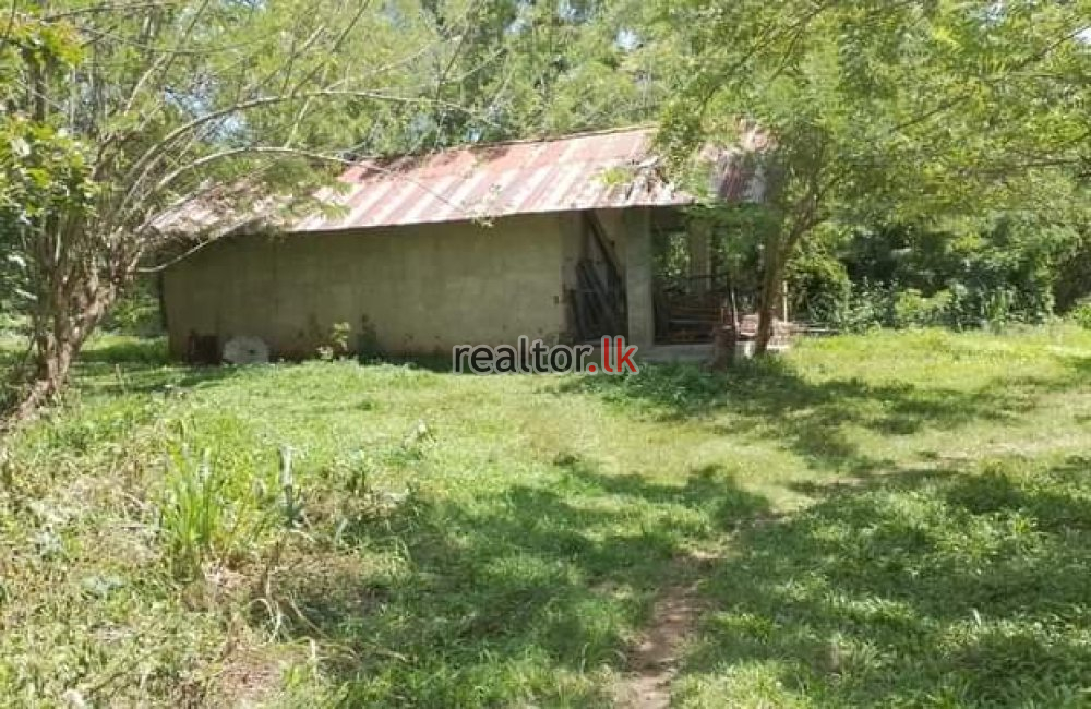 Coir Fiber Factory For Sale In Wariyapola