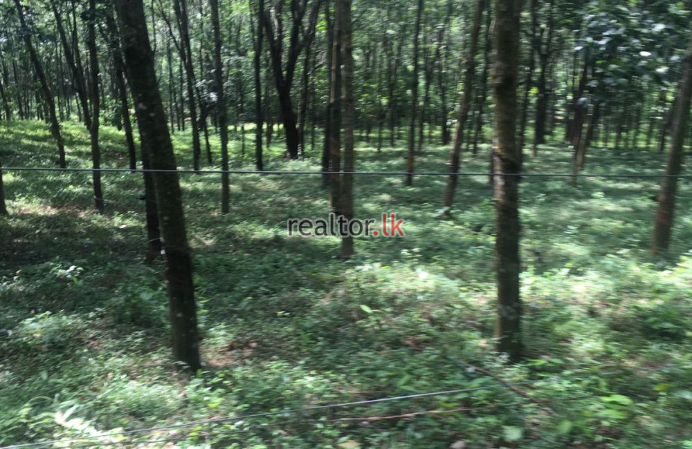 Mix Plant Estate For Sale At Naula Matale