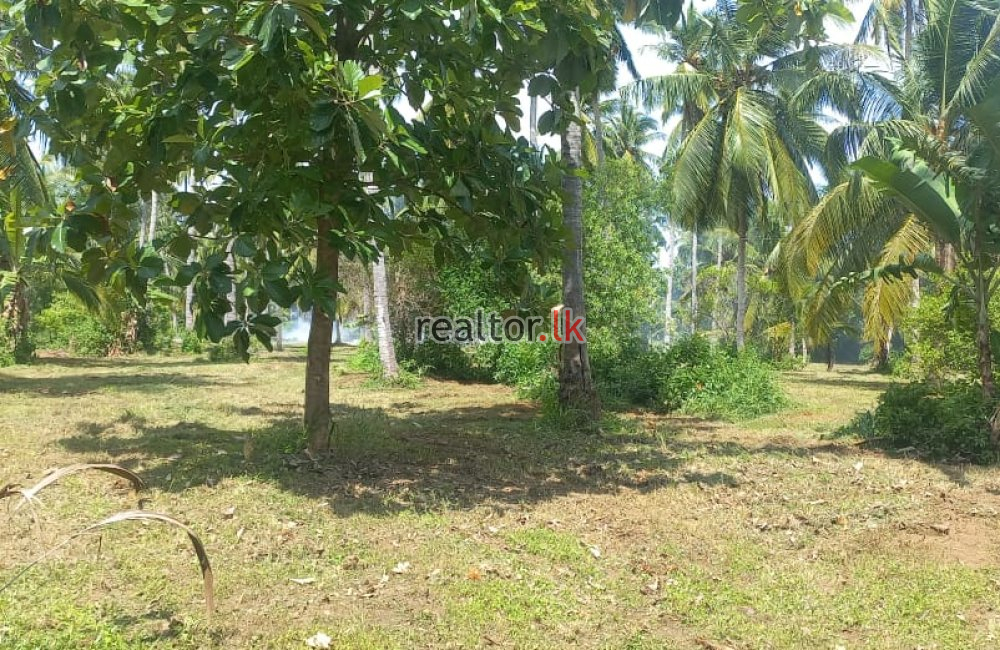 Mix Plant Estate For Sale At Puttalam