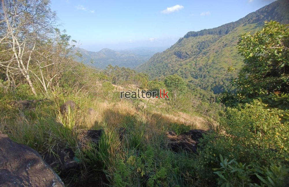 Mountain View Land For Sale In Bambaragama