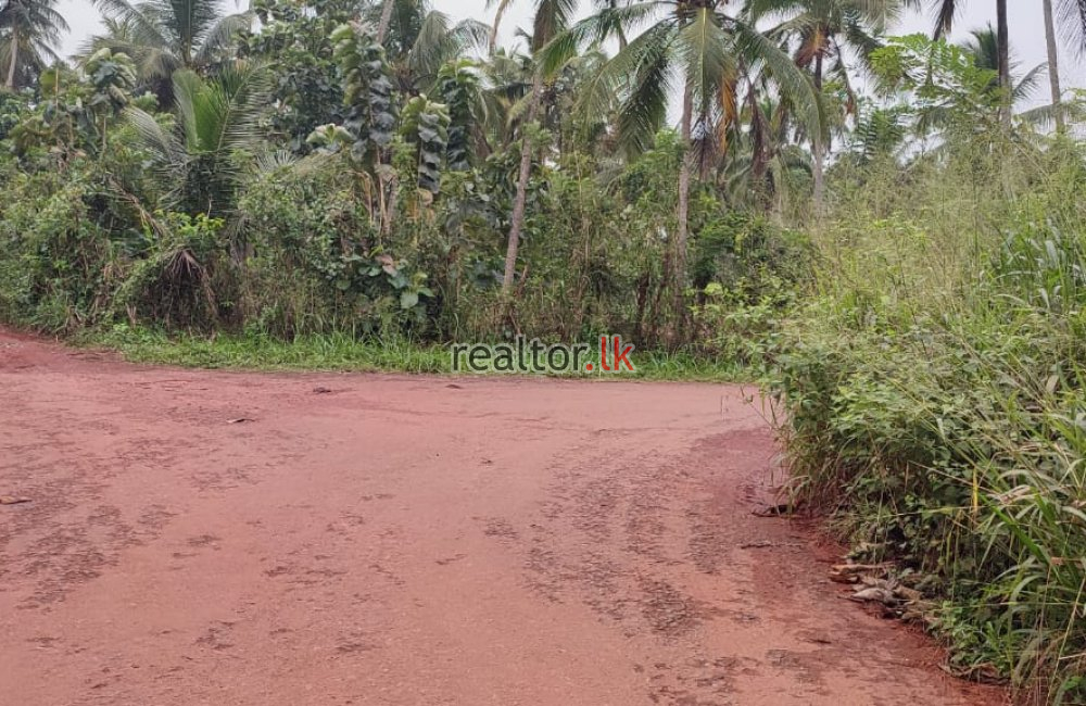 Land For Sale At Sandalankawa