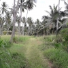 Land At Facing Negombo – Kurunegala Rd