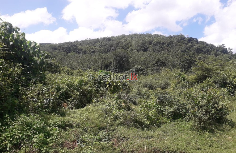 Malagala Land For Sale